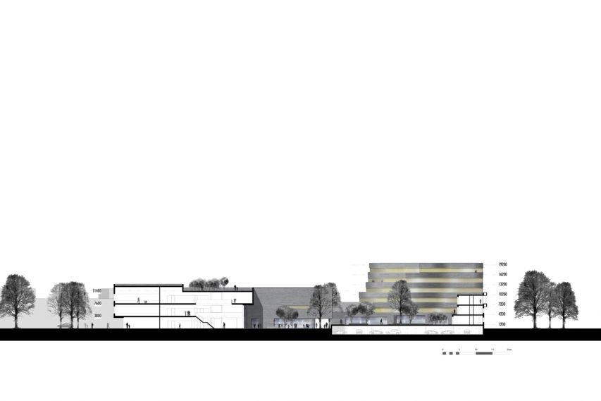  Juliette Bekkering Architects Adams - Zestienhoven - section